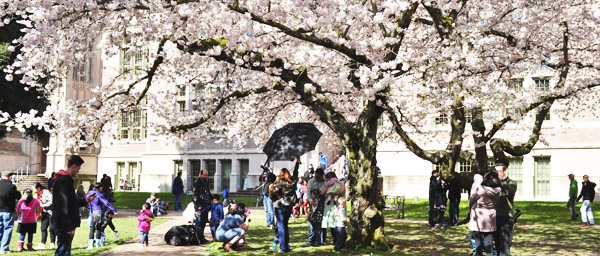 Jardines de la Universidad de Washington